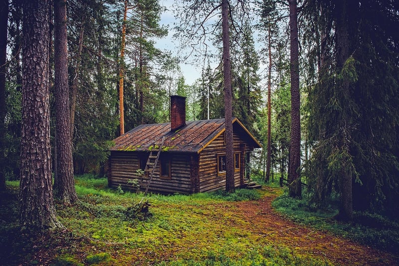 Serene Wilderness Retreat